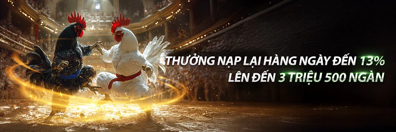 Đá Gà Thomo 13/9/2022 Trực Tuyến